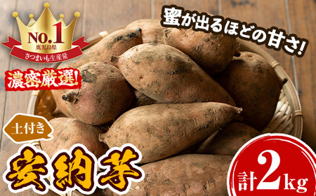 【P14015】鹿児島県産　濃密厳選安納芋『2kg』
