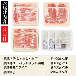 【E02004】＜定期便・全3回(隔月)＞極上セットD！かごしま黒豚ふるさと定期便 鹿児島 国産 九州産 黒豚 焼肉 しゃぶしゃぶ すき焼き 焼肉 ぎょうざ ギョーザ ギフト 贈答【和田養豚】