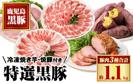 【B02094】特選黒豚(計約1.1kg)、黒豚焼豚(計約400g・200g×2個)、焼き芋(計約800g)セット！ 鹿児島 国産 黒豚 豚肉 お肉 六白 肩ロース 豚バラ ロース とんかつ トンカツ 焼豚 チャーシュー 叉焼 やきいも 焼き芋 紅はるか 冷凍【和田養豚】