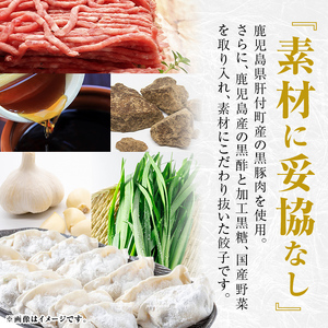 【A43086】＜定期便・全3回＞  鹿児島県 肝付町産 黒豚 餃子 ギョーザ (1回60個・12個入 5パック) ≪ パリッ と もっちり で ジューシー ≫ ぎょうざ たれ付き パリパリ もちもち ジューシー おかず 弁当 冷凍 冷凍食品 中華 豚肉 国産【財宝】