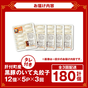 【A43086】＜定期便・全3回＞  鹿児島県 肝付町産 黒豚 餃子 ギョーザ (1回60個・12個入 5パック) ≪ パリッ と もっちり で ジューシー ≫ ぎょうざ たれ付き パリパリ もちもち ジューシー おかず 弁当 冷凍 冷凍食品 中華 豚肉 国産【財宝】