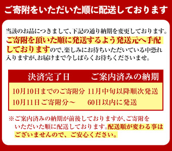 n256 ＜数量限定＞「鹿児島県産紅はるかの冷凍焼き芋」と「種子島産安納芋の冷凍焼き芋」食べ比べセット(計1kg) 国産 さつまいも さつま芋 安納芋 安納いも サツマイモ べにはるか 焼芋 焼いも やきいも スイーツ おやつ 冷凍【ファーム工房】