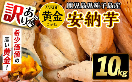 n278 《訳あり》期間限定・数量限定！種子島産 安納芋＜黄金＞(10kg) 国産 安納芋 黄金 こがね コガネ 種子島 芋 イモ いも さつまいも さつま芋 安納いも 野菜【うずえ屋】