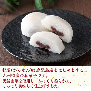 n307 鹿児島銘菓！昔ながらのかるかん饅頭(計10個・2個入×5パック) 鹿児島 種子島 和スイーツ 和菓子 郷土 軽羹 【山田製菓本舗】
