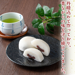 n307 鹿児島銘菓！昔ながらのかるかん饅頭(計10個・2個入×5パック) 鹿児島 種子島 和スイーツ 和菓子 郷土 軽羹 【山田製菓本舗】