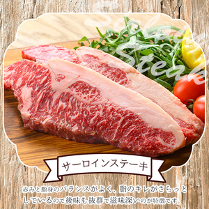 n286 梶屋牛 サーロイン(計約400g・約200g×2枚) 黒毛和牛 国産 九州産 鹿児島県産 牛肉 肉 ビーフ ステーキ 天然飼料 サステナブル 和牛 お祝い 【株式会社Calfields】