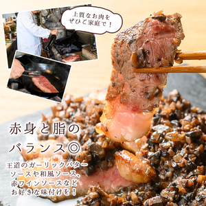 n286 梶屋牛 サーロイン(計約400g・約200g×2枚) 黒毛和牛 国産 九州産 鹿児島県産 牛肉 肉 ビーフ ステーキ 天然飼料 サステナブル 和牛 お祝い 【株式会社Calfields】