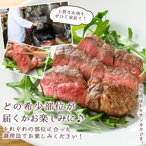 n291 梶屋牛 希少部位ステーキ(計約300g) 黒毛和牛 国産 九州産 鹿児島県産 牛肉 肉 ビーフ 天然飼料 サステナブル 和牛 お祝い 【株式会社Calfields】