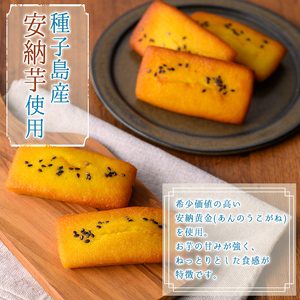 n326 種子島産使用！安納芋フィナンシェ(5個) 国産 種子島 洋菓子 お菓子 焼菓子 安納芋 安納いも スイーツ 常温 【メゾングレーヌ】