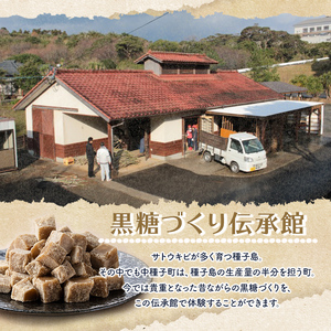 n353 ＜先行予約受付中！2025年12月中旬頃より順次発送予定＞種子島産さとうきび使用！ 黒糖(10袋) 国産 種子島 黒砂糖 砂糖 粗糖 調味料 甘味 お菓子作り サトウキビ 常温 【黒糖づくり伝承館】