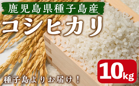 n360 <期間限定!>種子島のお米!コシヒカリ(10kg) 国産 鹿児島県産 種子島 コシヒカリ こしひかり 米 お米 おこめ 白米 【なかたね農産】