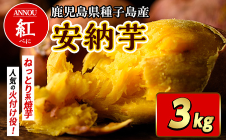 n384 期間限定！種子島産 安納芋＜紅＞(3kg) 国産 安納芋 紅 種子島 芋 イモ さつま芋 安納いも 野菜 焼き芋 焼芋 【うずえ屋】
