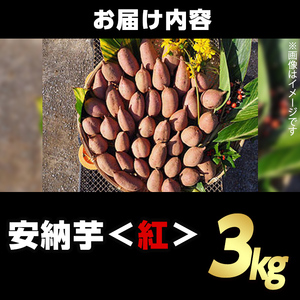 n384 期間限定！種子島産 安納芋＜紅＞(3kg) 国産 安納芋 紅 種子島 芋 イモ さつま芋 安納いも 野菜 焼き芋 焼芋 【うずえ屋】