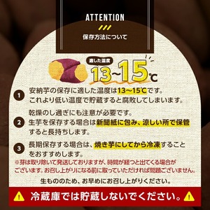 n384 期間限定！種子島産 安納芋＜紅＞(3kg) 国産 安納芋 紅 種子島 芋 イモ さつま芋 安納いも 野菜 焼き芋 焼芋 【うずえ屋】