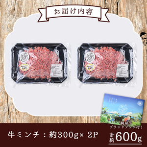 n372 梶屋牛ミンチ(計600g・300g×2P) 黒毛和牛 牛肉 国産 九州産 鹿児島県産 肉 ビーフ ミンチ 冷凍 小分け 天然飼料 サステナブル 和牛 お祝い 【株式会社Calfields】