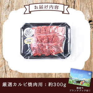 n371 梶屋牛 厳選カルビ焼肉用(約300g) 黒毛和牛 牛肉 国産 九州産 鹿児島県産 肉 ビーフ カルビ 焼肉 冷凍 小分け 天然飼料 サステナブル 和牛 お祝い 【株式会社Calfields】