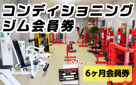 n362 ジム会員券(6カ月) 鹿児島県 中種子町 施設利用券 プレゼント ギフト チケット 健康 運動 トレーニング 体作り ジム 筋トレ 【コンディショニングジムTHANKS】