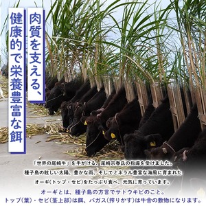 n405 梶屋牛 小間切れ(計1kg) 黒毛和牛 牛肉 国産 九州産 鹿児島県産 小間切れ スライス 肉 ビーフ 天然飼料 サステナブル 和牛 お祝い 【株式会社Calfields】