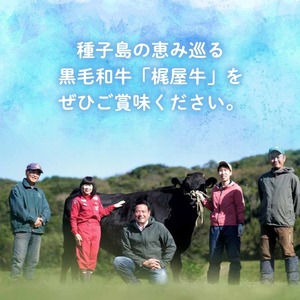 n407 種子島産黒毛和牛!梶屋牛冷凍生ハンバーグ(4個) 黒毛和牛 牛肉 国産 九州産 鹿児島県産 肉 ビーフ ハンバーグ 冷凍 小分け 簡単調理 天然飼料 サステナブル 和牛 お祝い 【株式会社Calfields】