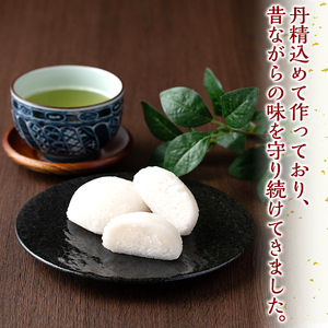 n426 鹿児島銘菓！昔ながらのかるかん饅頭＜餡子無し＞(計10個・2個入×5パック) 鹿児島 種子島 和スイーツ 和菓子 郷土 軽羹 【山田製菓本舗】