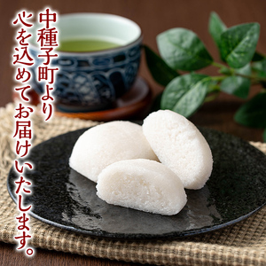 n426 鹿児島銘菓！昔ながらのかるかん饅頭＜餡子無し＞(計10個・2個入×5パック) 鹿児島 種子島 和スイーツ 和菓子 郷土 軽羹 【山田製菓本舗】