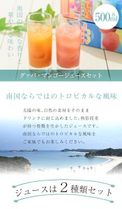 n026 南国種子島のグァバ・マンゴージュースセット(合計2本・各500ml)鹿児島 種子島 南国 希釈タイプ 飲料 ドリンク ジュース 果物 フルーツ 国産【菓心利休】