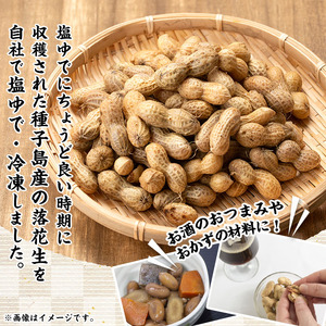 n061 種子島産の塩ゆで落花生(計1.5kg・500g×3P)国産 鹿児島 種子島 ナタネユタカ ラッカセイ おつまみ お菓子 おやつ【八千代】