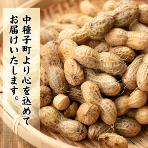 n061 種子島産の塩ゆで落花生(計1.5kg・500g×3P)国産 鹿児島 種子島 ナタネユタカ ラッカセイ おつまみ お菓子 おやつ【八千代】