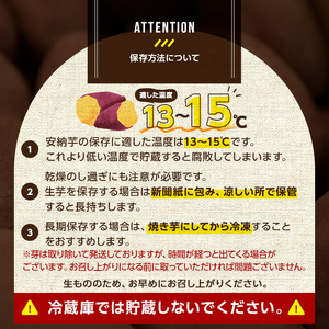 n078 数量限定！種子島産 安納芋(5kg) 国産 中種子町 芋 さつま芋 生芋 デザート おやつ 焼芋 やきいも 焼き芋 野菜 【あぐりの里】