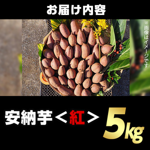 n175 安納芋 さつま芋 さつまいも (5kg) 【うずえ屋】