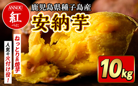 n082  安納芋 さつま芋 さつまいも (10kg) 【うずえ屋】