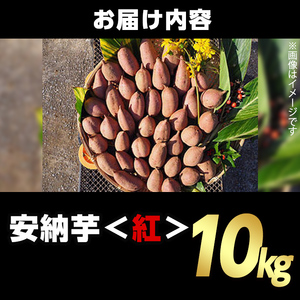 n082  安納芋 さつま芋 さつまいも (10kg) 【うずえ屋】