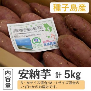 n176 数量限定！種子島産 安納芋(5kg) 国産 安納芋 本場 種子島 芋 イモ いも さつまいも さつま芋 安納いも 野菜【永濱農園】