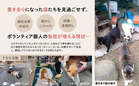 《返礼品なし》 猫愛護活動支援 猫ちゃん 猫 ねこ 動物 保護 愛護 保護活動 応援 支援 寄付 南種子町 鹿児島 かごしま 送料無料 【南種子町猫の適正飼養を推進する会】