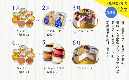 ジェラート定期便12回