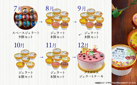 ジェラート定期便12回