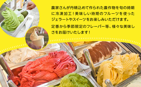 ジェラート定期便12回