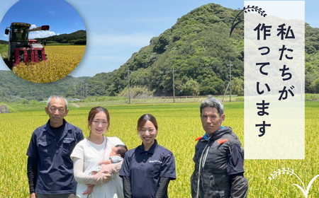 にじのきらめき 5kg お米 こめ コメ 精米 白米 南種子町 鹿児島 かごしま 【株式会社こめこめアイランド】