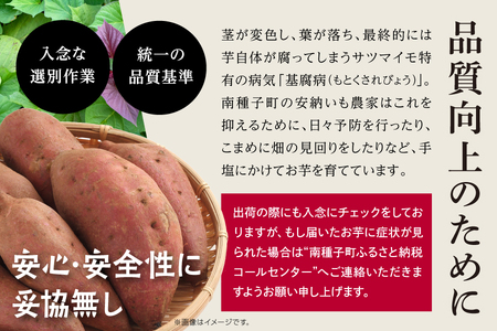 《先行予約》 種子島 安納いも さつまいも 3kg 焼きいも 焼き芋 本場 安納芋 Qさま キューさま さつま芋 甘い ねっとり スイーツ おやつ グルメ お取り寄せ おせち 人気 種子島産 返礼品 南種子町 鹿児島 かごしま 【観光物産館トンミー市場】