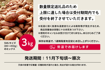 《先行予約》 種子島 安納いも さつまいも 3kg 焼きいも 焼き芋 本場 安納芋 Qさま キューさま さつま芋 甘い ねっとり スイーツ おやつ グルメ お取り寄せ おせち 人気 種子島産 返礼品 南種子町 鹿児島 かごしま 【観光物産館トンミー市場】