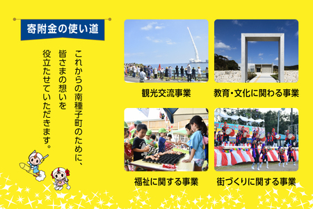 【返礼品なし】応援寄附金 教育文化 10,000円【南種子町】