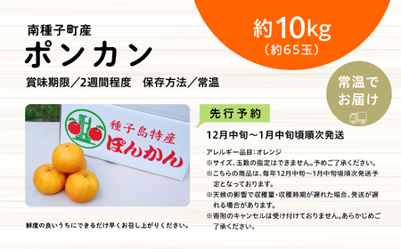 《 先行予約　2024年12月以降順次発送 》種子島産ポンカン約10kg （約65玉）【南種子町果樹部会】