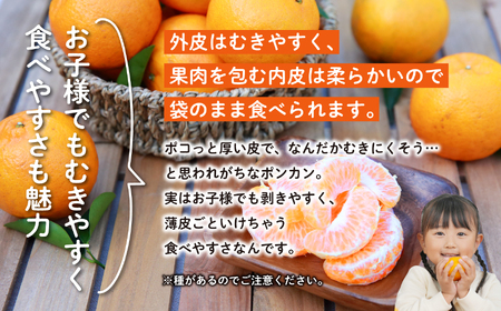《 先行予約　2025年12月中旬頃〜1月中旬頃順次発送 》種子島産ポンカン(ご家庭用) 約5kg (24玉～36玉)【南種子町果樹部会】