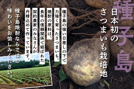 【宇宙に一番近い蔵】「宝満」25% 1800ml 6本【上妻酒造】