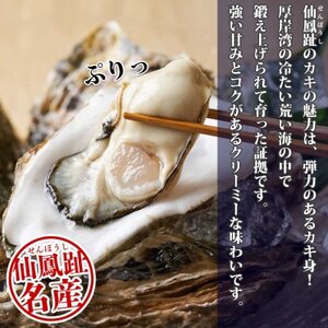 殻付き牡蠣 仙極かき 45個 生食用(かきナイフ付) 冷蔵 北海道釧路町【配送不可地域：離島・沖縄県・信越、北陸・東海・近畿・中国・四国・九州】【1351397】