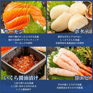 お刺身・海鮮丼　盛り合わせセット×5パック＜6種類/冷凍＞【配送不可地域：離島】【1548073】