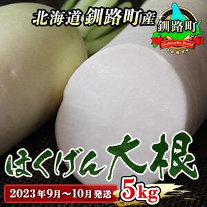 野菜王国 釧路町産【ほくげん大根】5kg <2021年9月~10月発送>【1084030】