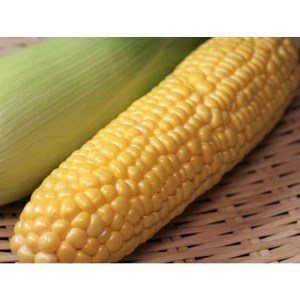 鈴木さん家のとうきび【甘いんです】7本【1084031】