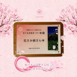 北海道釧路町の桜の木(1本)のオーナー権及びオーナー証＜ふるさと納税 自然 保護＞【1179225】