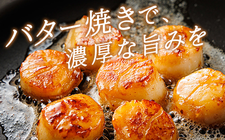 【毎月定期便】北海道産の帆立貝柱を刺身用に小分けに!「ホタテ貝柱」約250g×2コ全10回_帆立 ホタテ ほたて 貝柱 冷凍 刺身 刺し身 小分け ホタテ貝柱 刺身 冷凍 セット 産地直送 定期便 魚介類 海鮮 絶品 人気 ヒロセ 北海道 釧路町 釧路超 特産品_【配送不可地域：離島】【4074010】